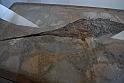 I Fossili di Bolca_38